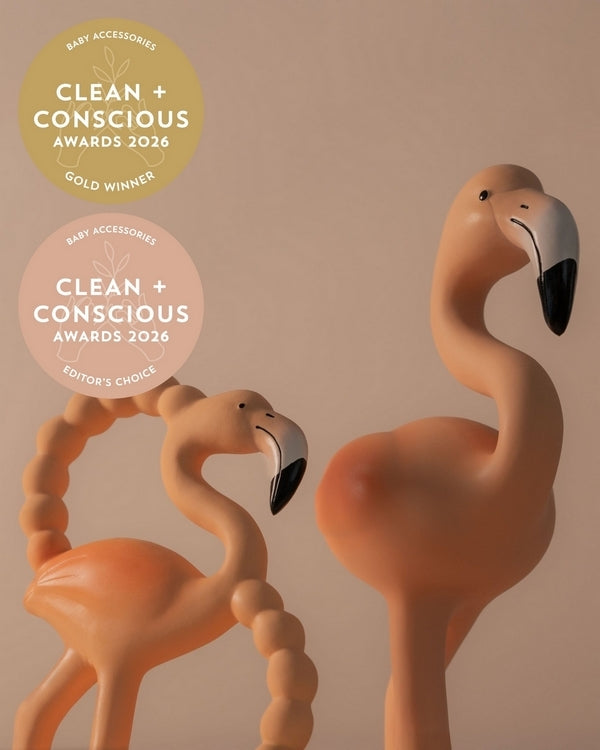 Flock Together Set | Teething Toys