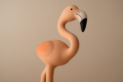 Lingo the Flamingo