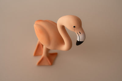 Lingo the Flamingo