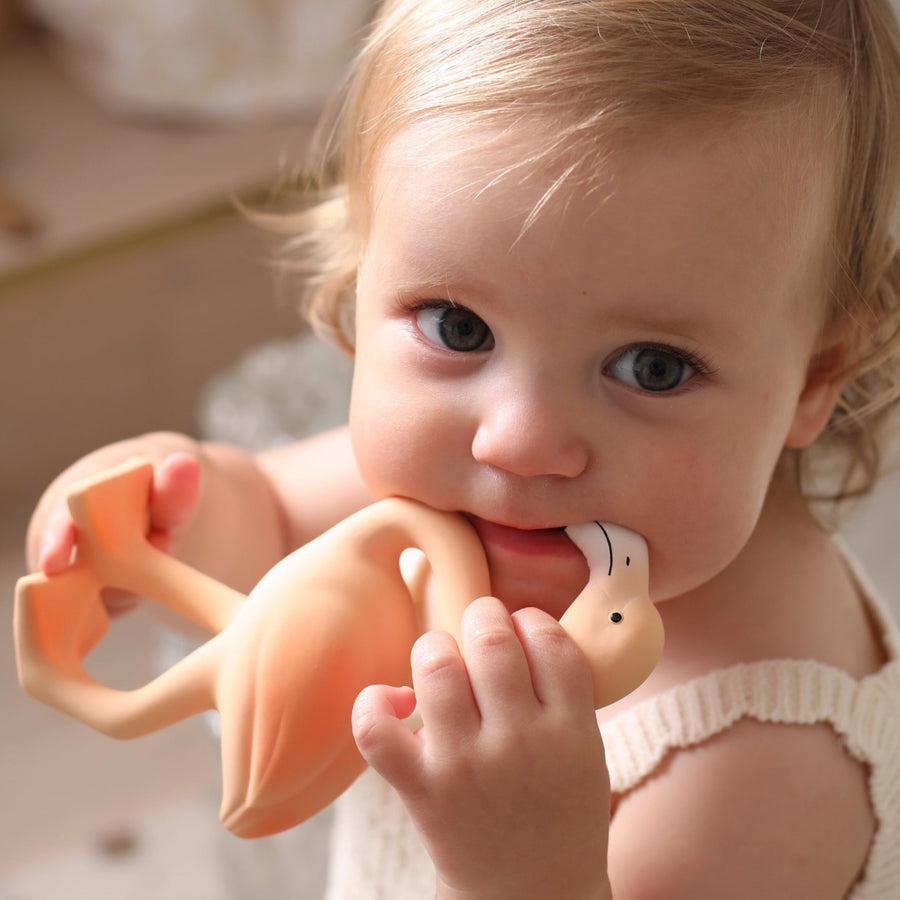 Lingo the Flamingo Teething Toy