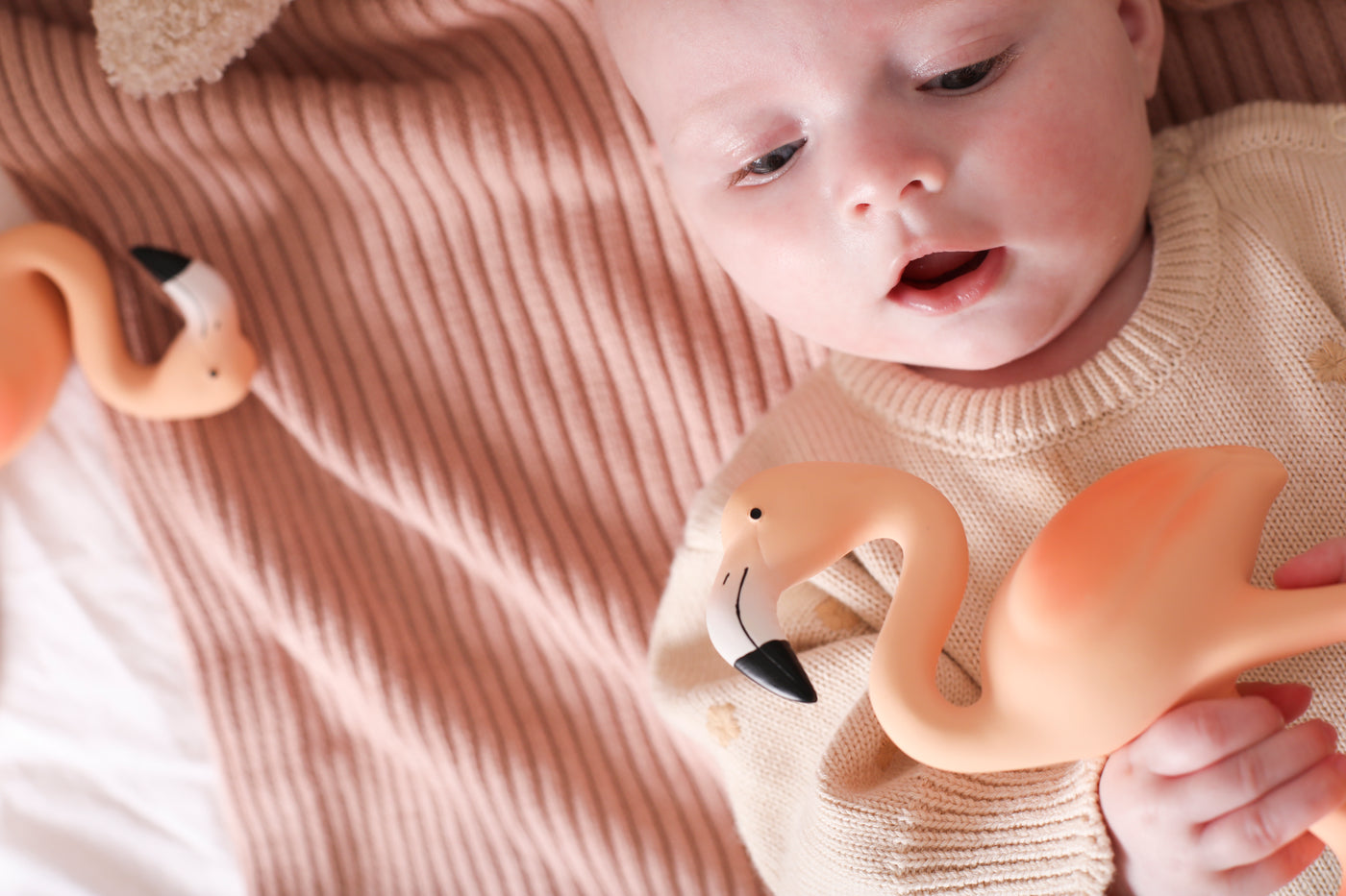 Teething Relief Pair (2 x Lingo)