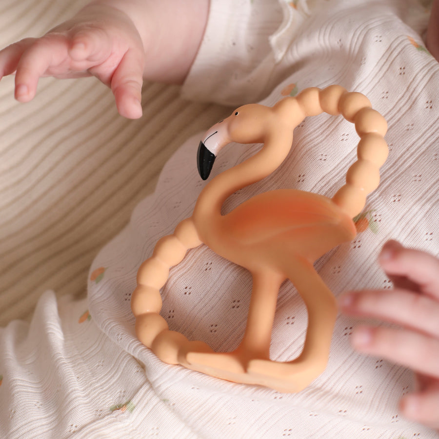 Lingo mini Teething Toy